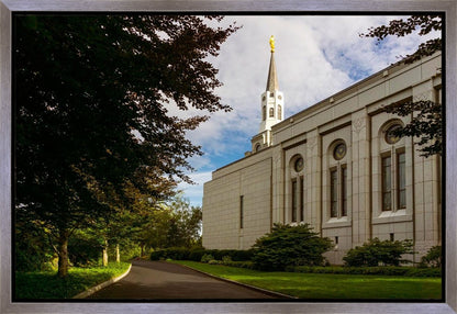 Boston Temple Trees Of Life Gallery Wrap