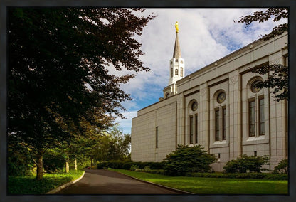 Boston Temple Trees Of Life Gallery Wrap