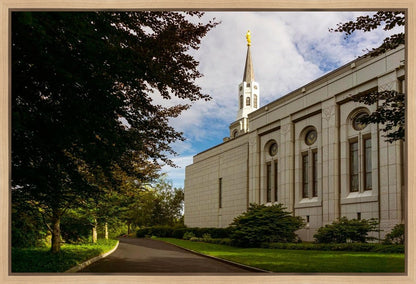 Boston Temple Trees Of Life Gallery Wrap