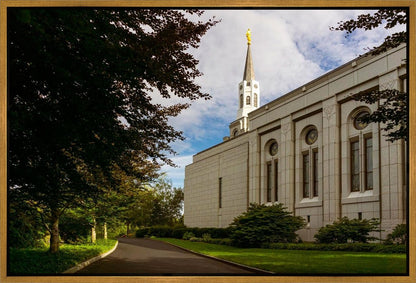 Boston Temple Trees Of Life Gallery Wrap