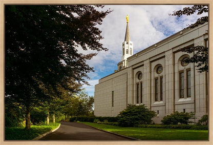 Boston Temple Trees Of Life Gallery Wrap