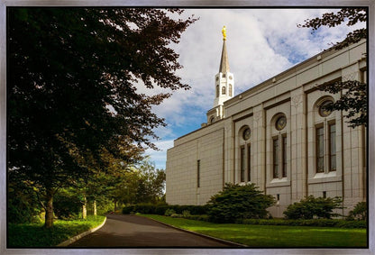 Boston Temple Trees Of Life Gallery Wrap