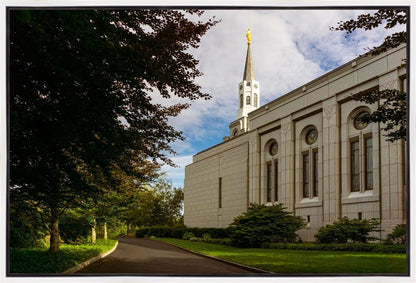 Boston Temple Trees Of Life Gallery Wrap