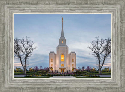Brigham City Temple Early Spring