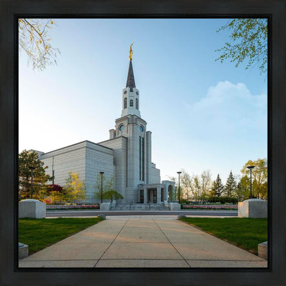 Boston Temple Spring Blossoms Gallery Wrap