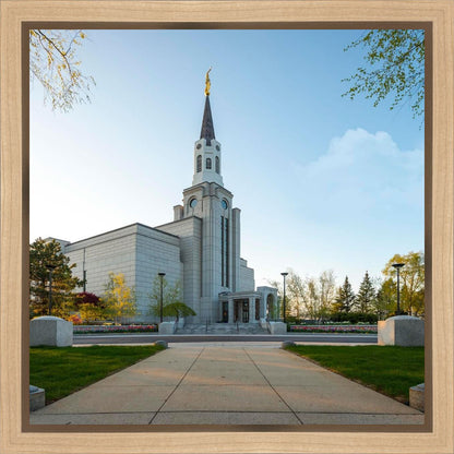 Boston Temple Spring Blossoms Gallery Wrap