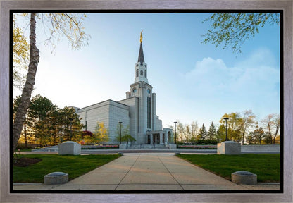 Boston Temple Spring Blossoms Gallery Wrap