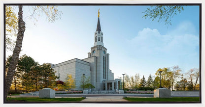 Boston Temple Spring Blossoms Gallery Wrap