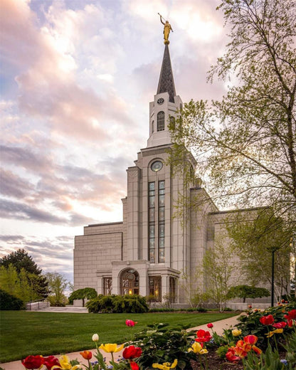 Boston Temple Spring Tulips Gallery Wrap