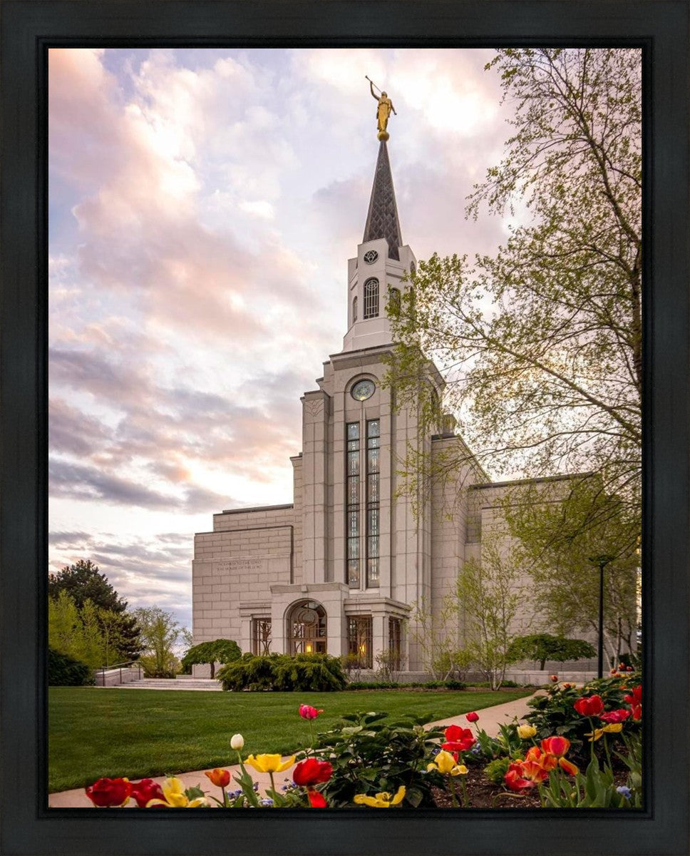 Boston Temple Spring Tulips