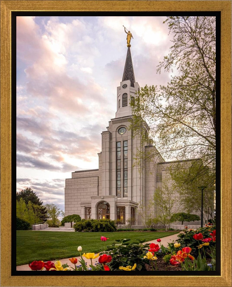Boston Temple Spring Tulips