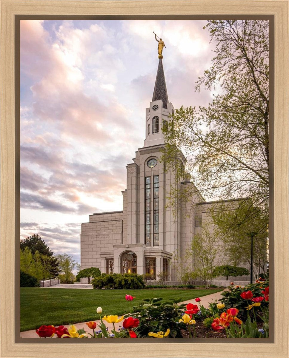 Boston Temple Spring Tulips