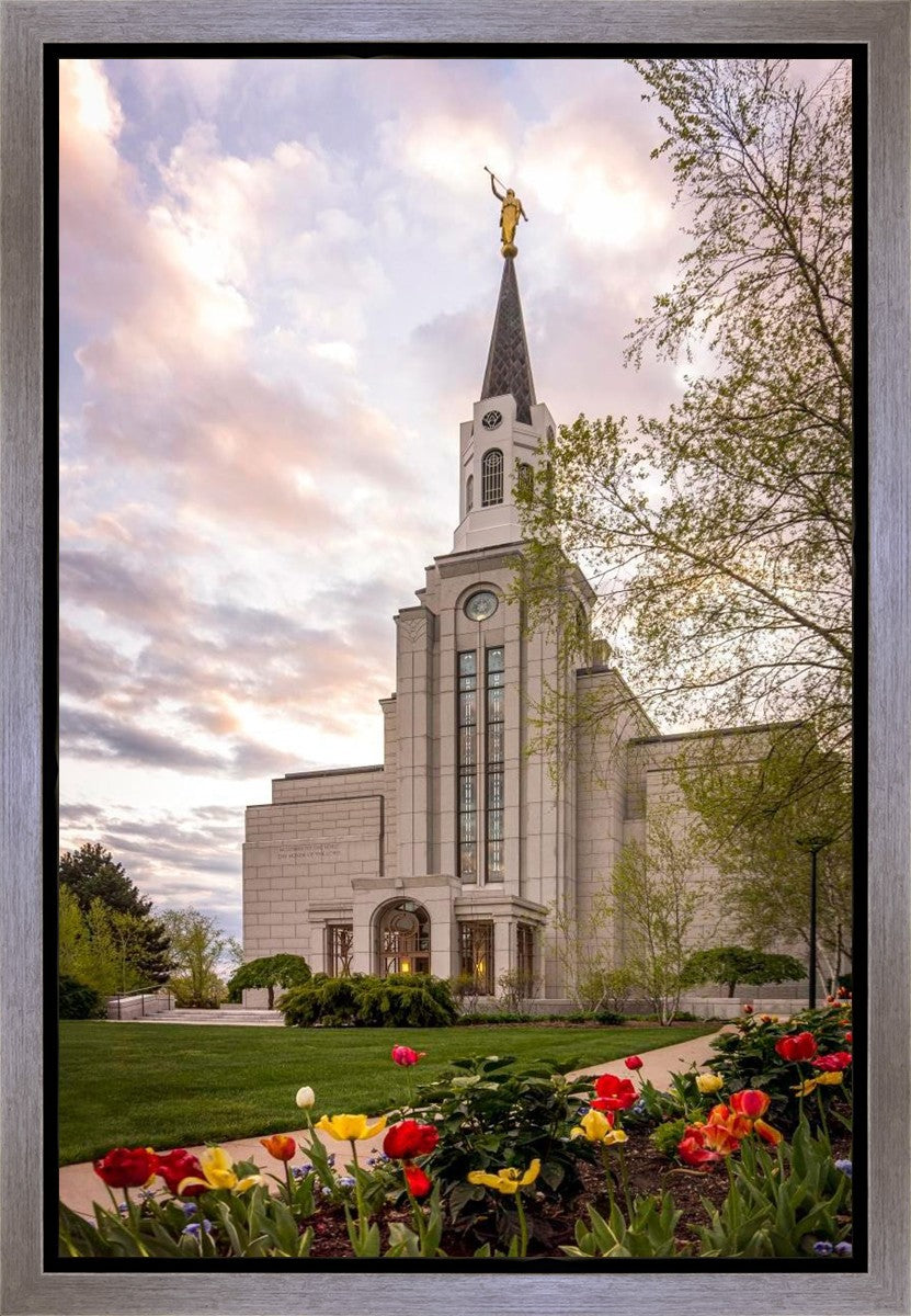 Boston Temple Spring Tulips