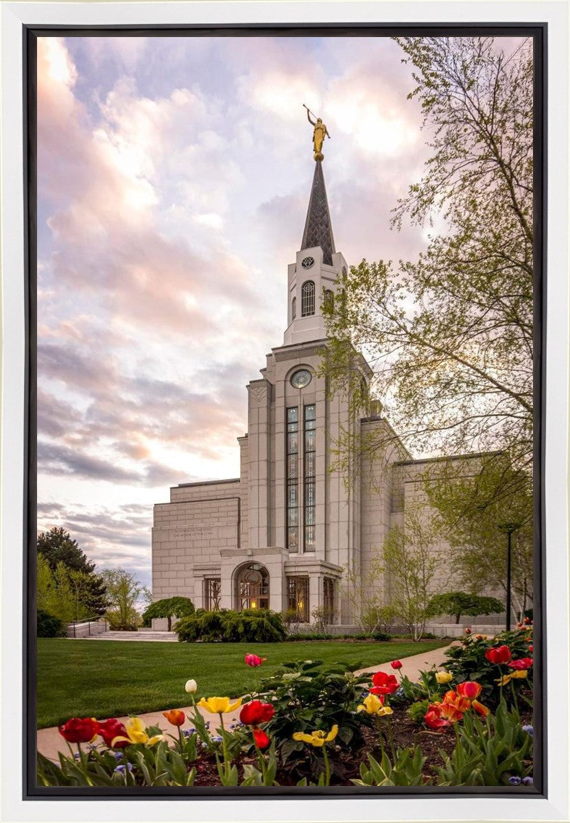 Boston Temple Spring Tulips