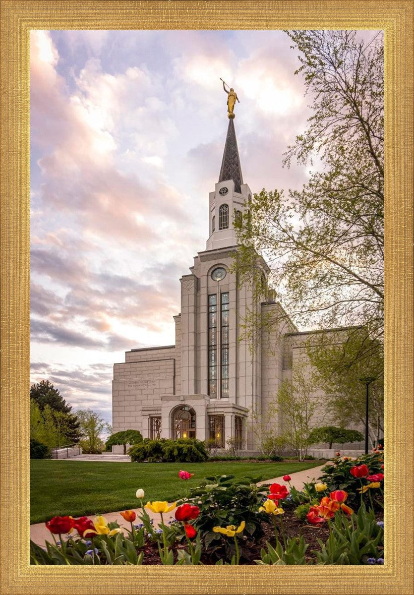 Boston Temple Spring Tulips