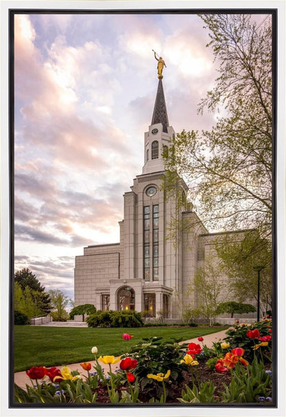 Boston Temple Spring Tulips Gallery Wrap