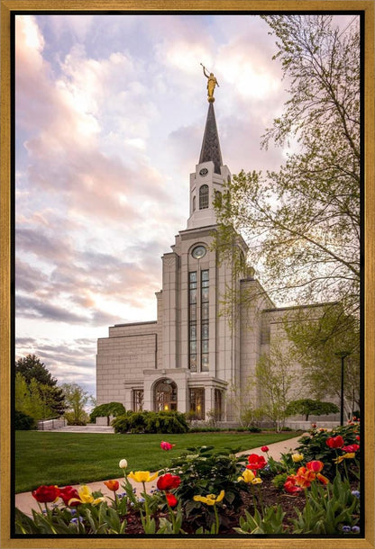 Boston Temple Spring Tulips Gallery Wrap