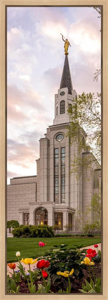 Boston Temple Spring Tulips Gallery Wrap
