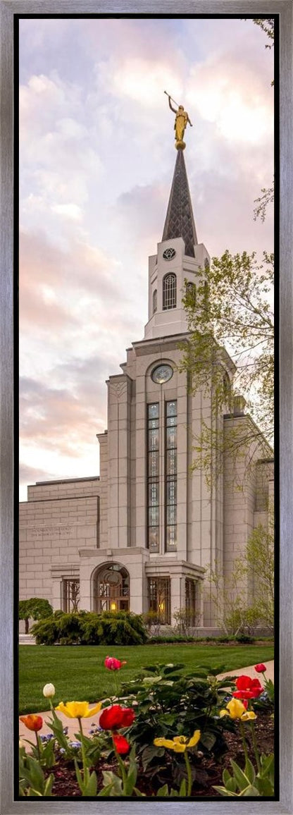 Boston Temple Spring Tulips Gallery Wrap