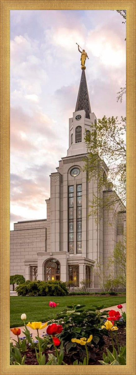 Boston Temple Spring Tulips
