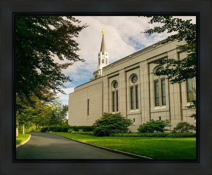 Boston Temple Trees Of Life Panoramic Gallery Wrap