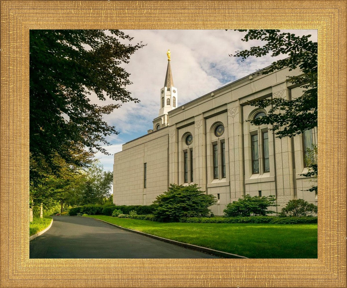 Boston Temple Trees Of Life Panoramic