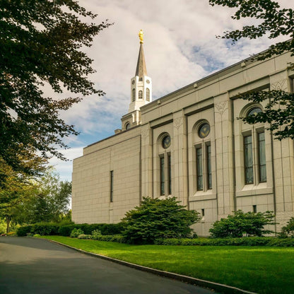 Boston Temple Trees Of Life Panoramic Gallery Wrap