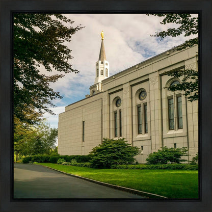Boston Temple Trees Of Life Panoramic Gallery Wrap
