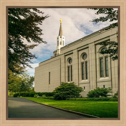 Boston Temple Trees Of Life Panoramic Gallery Wrap