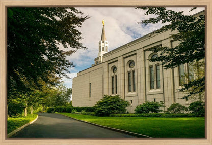 Boston Temple Trees Of Life Panoramic Gallery Wrap