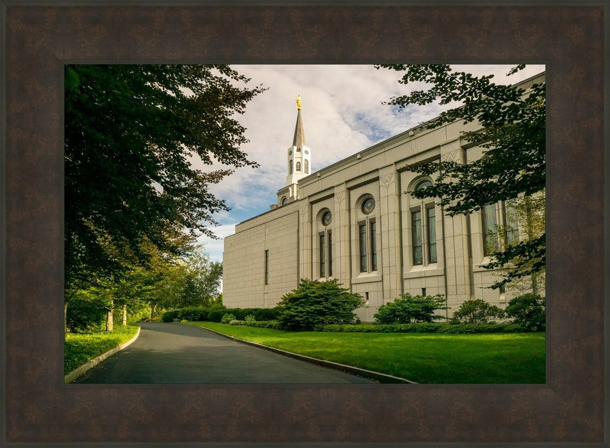 Boston Temple Trees Of Life Panoramic