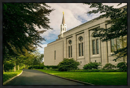 Boston Temple Trees Of Life Panoramic Gallery Wrap