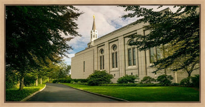 Boston Temple Trees Of Life Panoramic Gallery Wrap