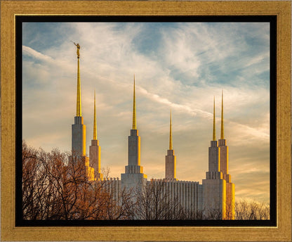 Golden Hour Washington DC Temple Gallery Wrap