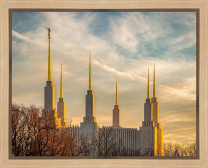 Golden Hour Washington DC Temple Gallery Wrap