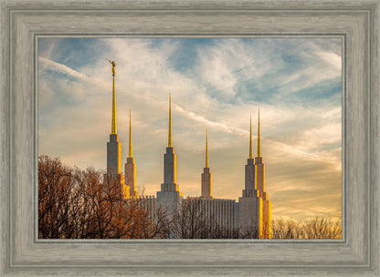 Golden Hour Washington DC Temple