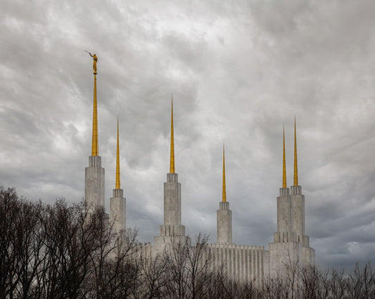 Washington DC Through Life's Storms Gallery Wrap