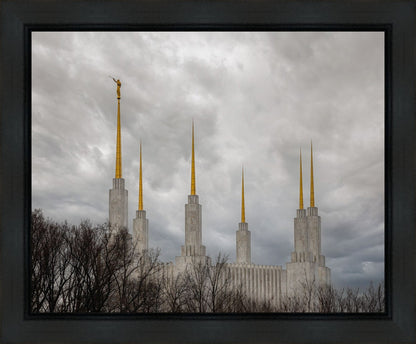 Washington DC Through Life's Storms Gallery Wrap