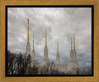 Washington DC Through Life's Storms Gallery Wrap