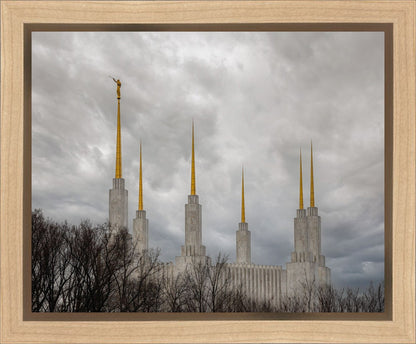 Washington DC Through Life's Storms Gallery Wrap
