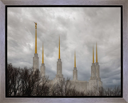 Washington DC Through Life's Storms Gallery Wrap