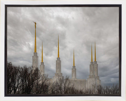 Washington DC Through Life's Storms Gallery Wrap