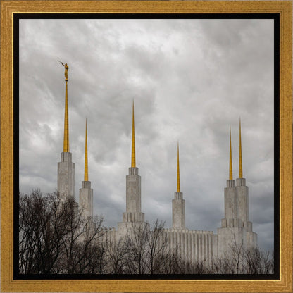 Washington DC Through Life's Storms Gallery Wrap