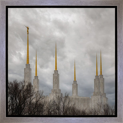 Washington DC Through Life's Storms Gallery Wrap