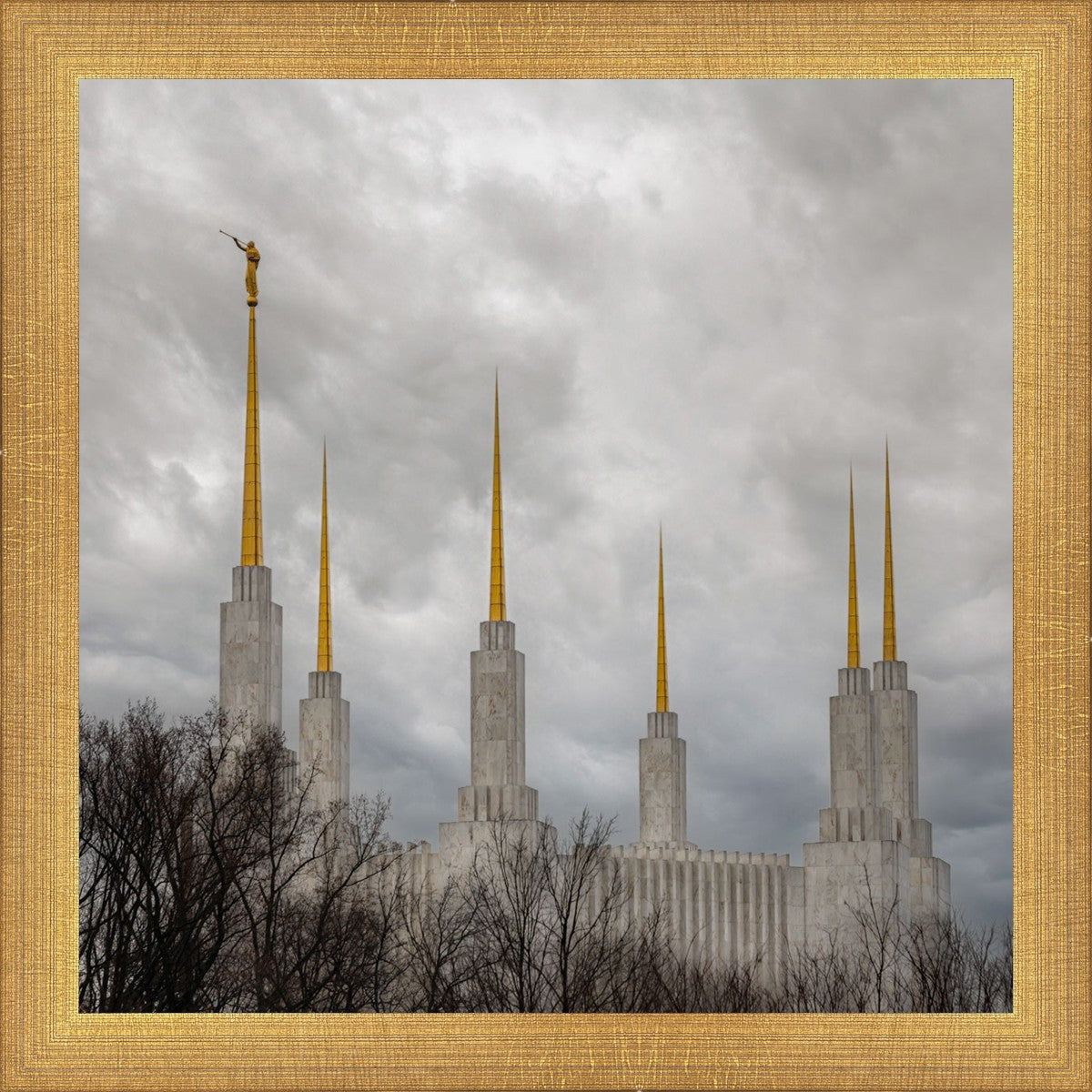 Washington DC Through Life's Storms