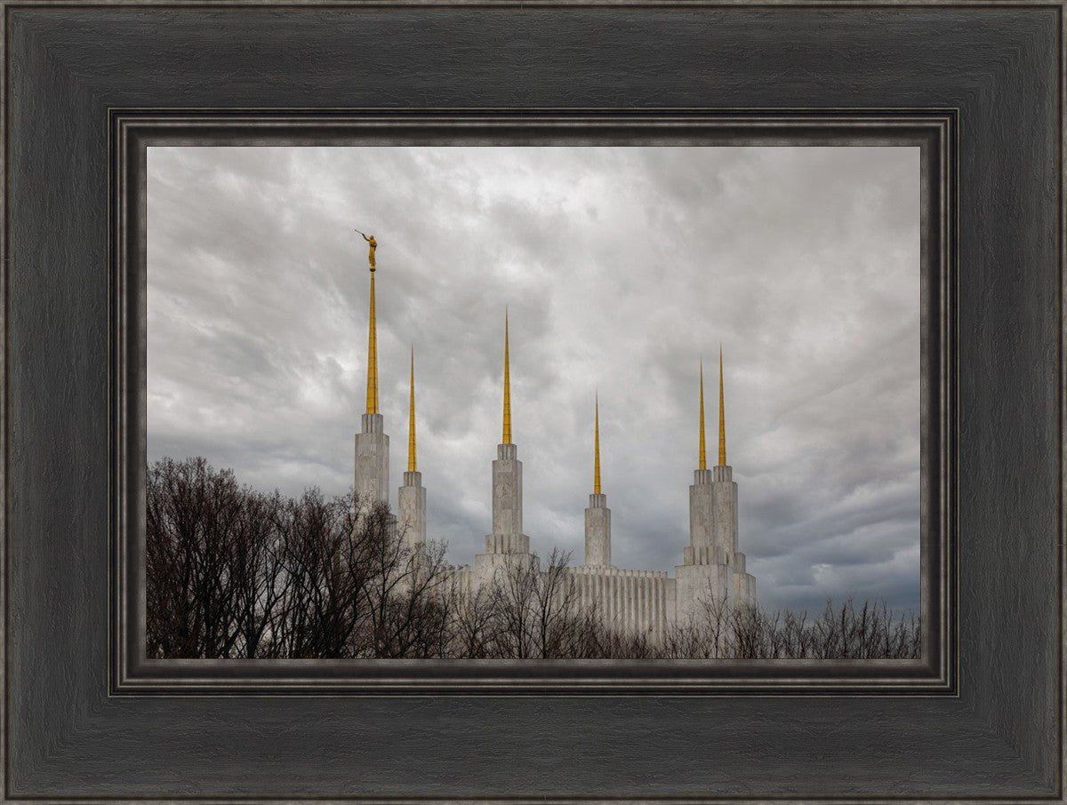 Washington DC Through Life's Storms