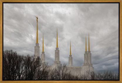 Washington DC Through Life's Storms Gallery Wrap