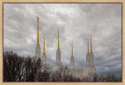 Washington DC Through Life's Storms Gallery Wrap