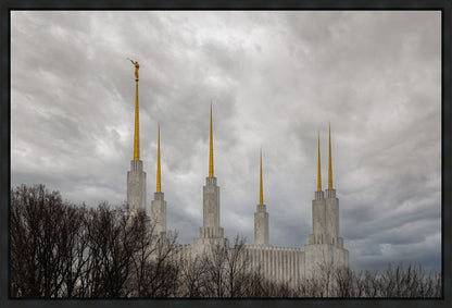 Washington DC Through Life's Storms Gallery Wrap