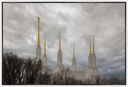 Washington DC Through Life's Storms Gallery Wrap